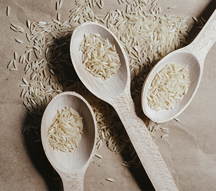 proteína de arroz